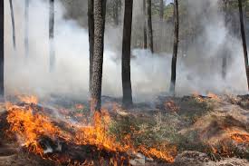 Inician operativo contra incendios forestales en Tlaxcala