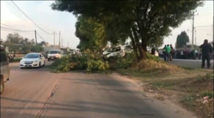 Muere  al estampar auto contra árbol en la Vía Corta