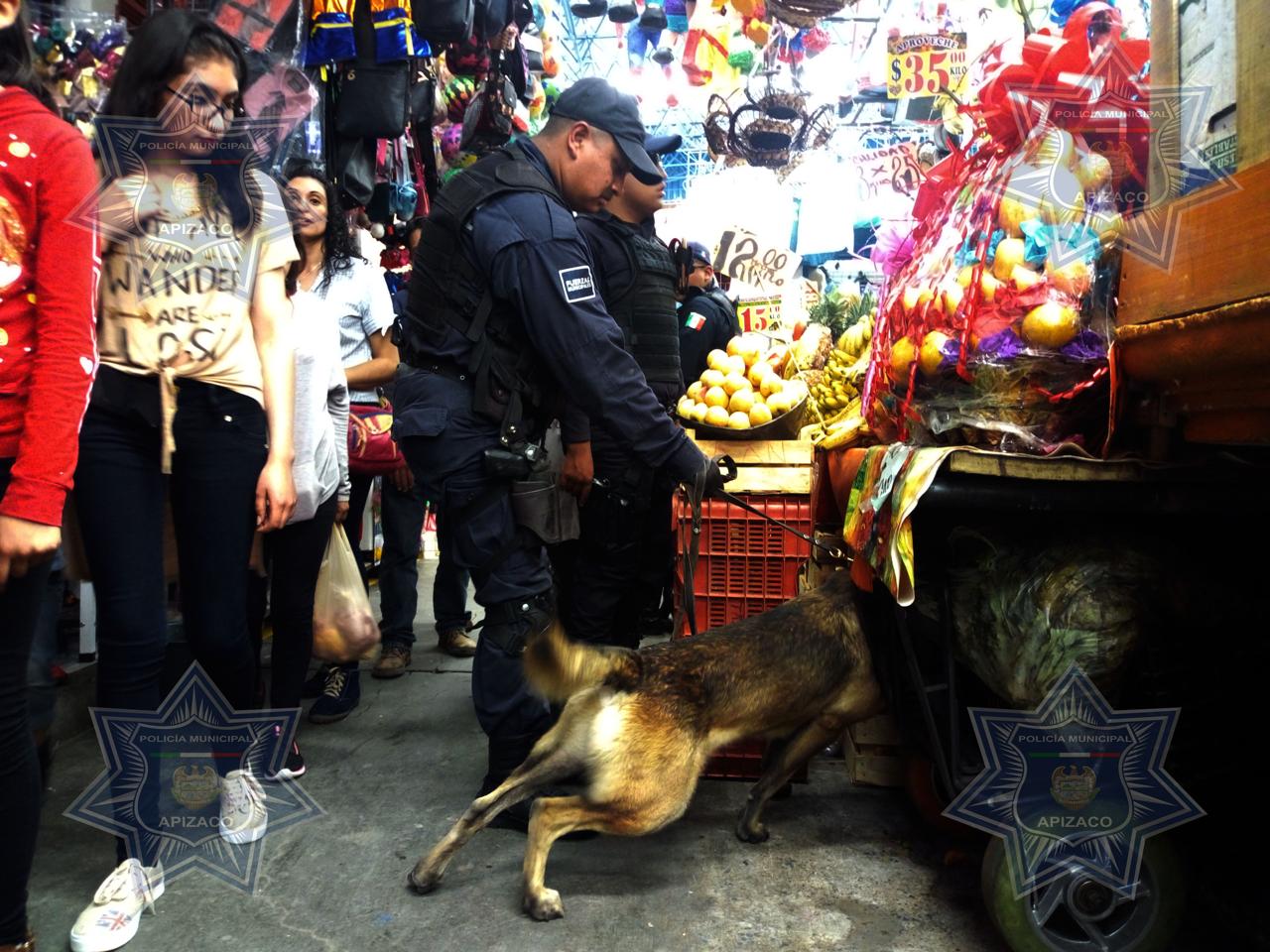 Redobla Apizaco seguridad en calles para inhibir el delito