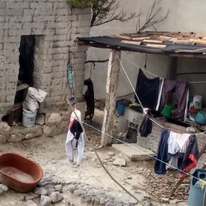 Cuelgan a Pitbull por atacar a mujer en Ixtacuixtla
