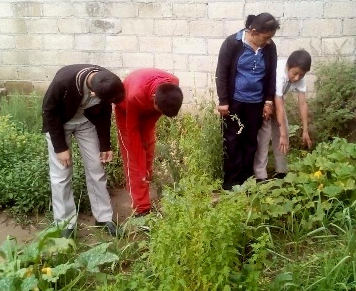 Aprenden a cultivar alimentos alumnos de Técnica 36