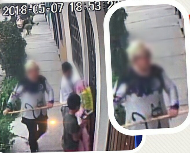 Captan en video a mujer que presuntamente roba perros