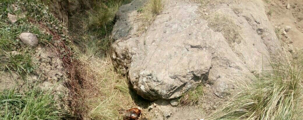 Hallan cadáver de hombre en paraje de Papalotla