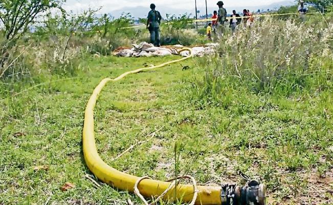 Robo de gas es más grande que el narcotráfico: Amexgas