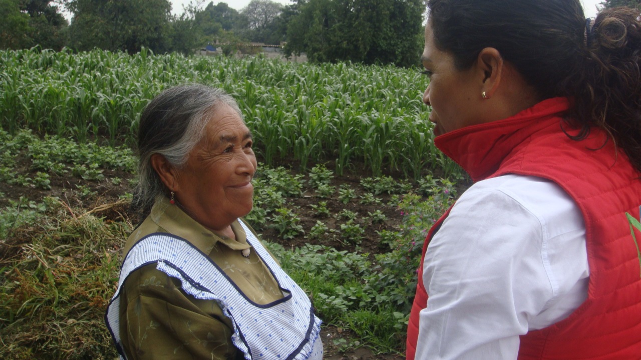 Mónica Morillón trabajará por Tlaxcala