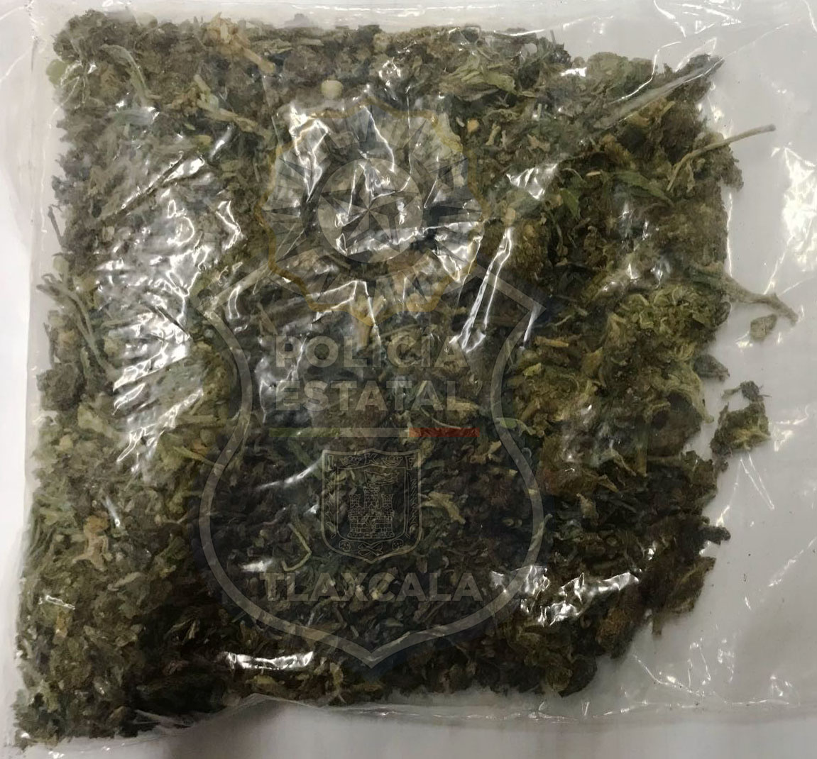En Zacatelco, la CES asegura a una persona con enervantes