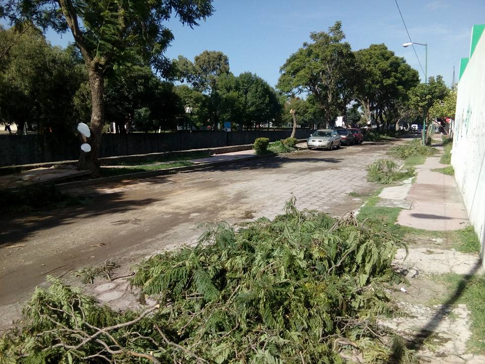 Denuncian ecocidio en Acxotla del río
