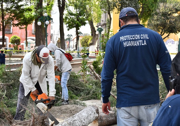Sin lesionados tras caída de árboles en el Parque Juárez: Protección Civil de Huamantla