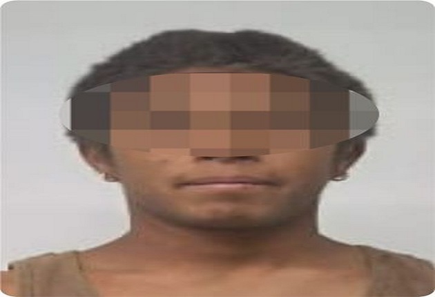 Asegura SSC material forestal y detiene a una persona en la malinche
