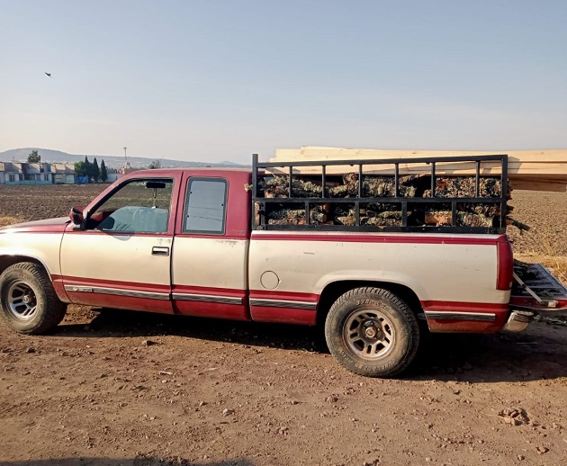 Aseguró SSC camioneta con material forestal en Atlangatepec