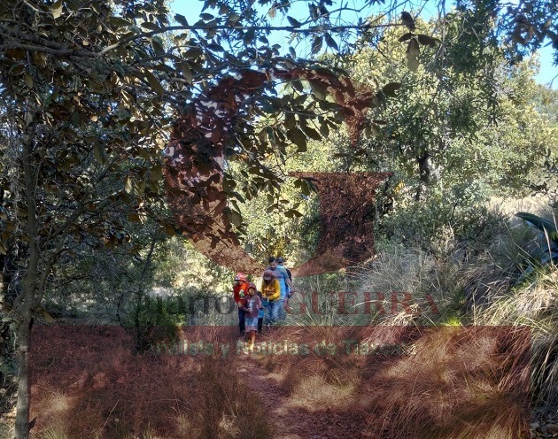Rescatan a una familia que se extravió en el Cuatlapanga
