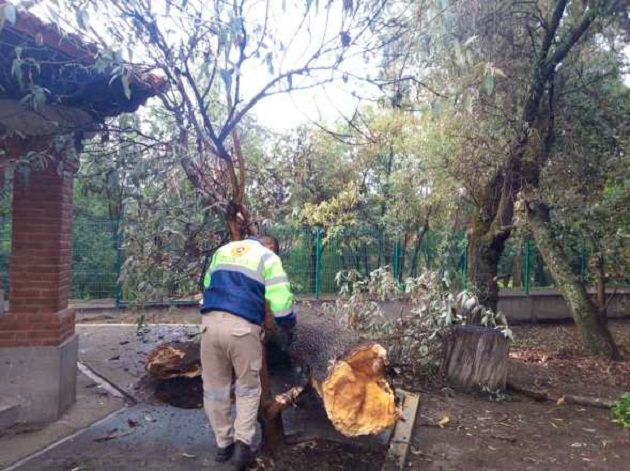 Refuerza Coordinación Estatal de Protección Civil servicios a la ciudadanía tlaxcalteca