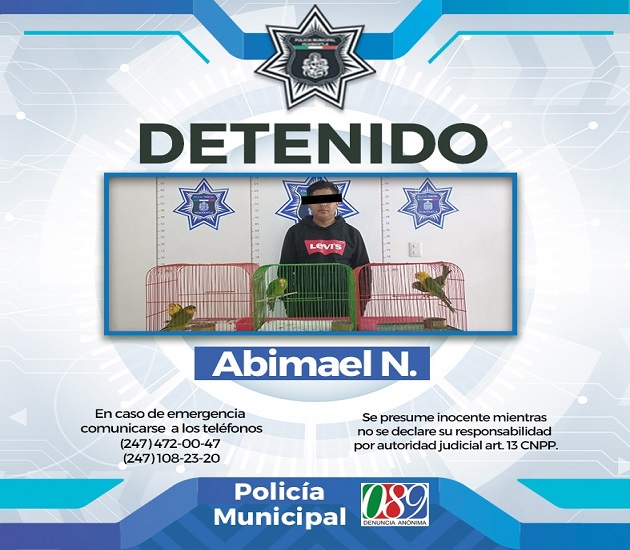 Detiene Policía de Huamantla a personas que trasladaban ilegalmente animales en peligro de extinción