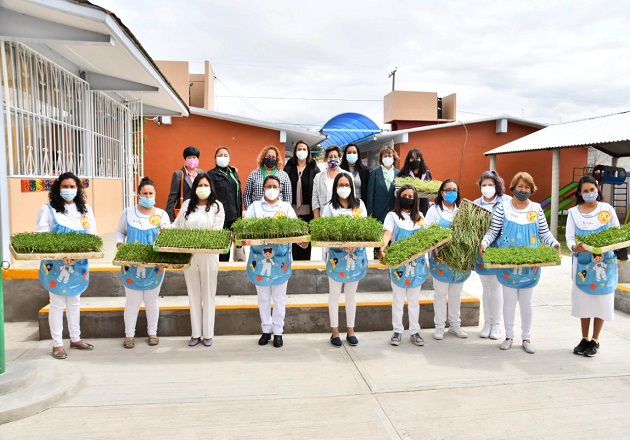 Entrega SMDIF Huamantla plántulas a instituciones educativas en comunidad de Ignacio Zaragoza