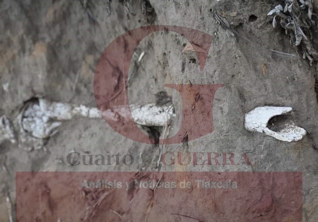 Localizan restos óseos en unos terrenos, en Toluca de Guadalupe, Terrenate