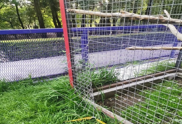 Denuncian ante FGR desaparición de guacamaya del Zoológico del Altiplano