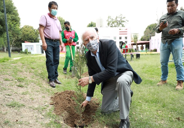 Avanza campaña de reforestación en Chiautempan