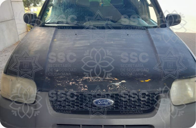Asegura SSC ocho vehículos y cuatro personas durante el fin de semana