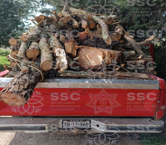 Asegura SSC material forestal en San José Teacalco
