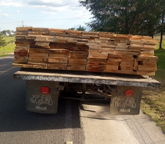 Inicia PGJE investigación por encubrimiento y cohecho en transporte ilícito de madera