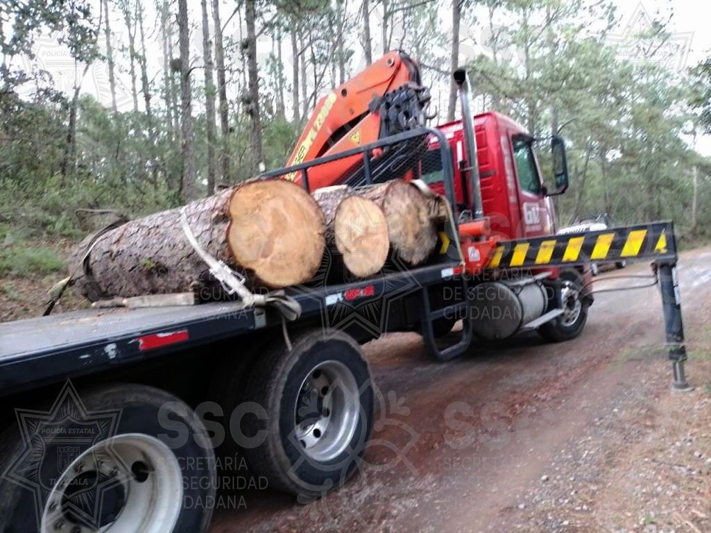 Aseguró SSC tres rollos de madera verde en Tlaxco