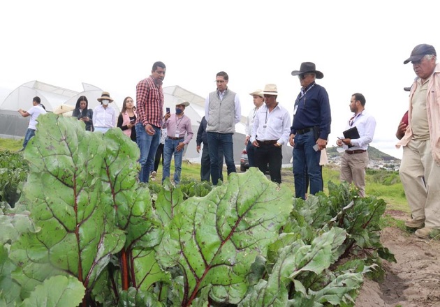Logra Jaciel González vínculos entre empresa privada La Morena, Gobierno y productores de Lázaro Cárdenas