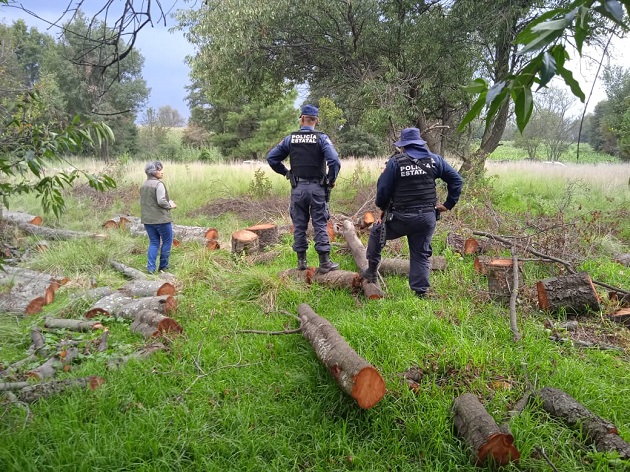 SSC y Profepa realizan operativo en la Malinche