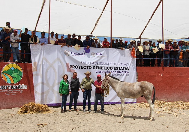 Entregan en Huamantla équidos de trabajo a productores del oriente del estado