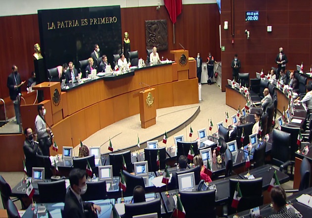 Gloria Núñez y José Luis Pech, a la bancada de Movimiento Ciudadano en el Senado