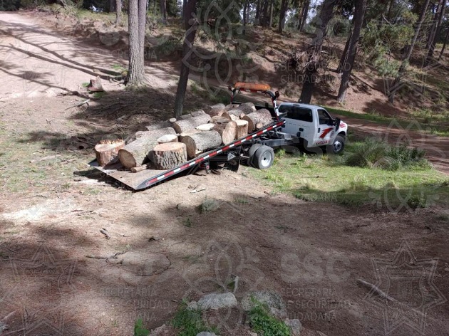 Policía de Montaña asegura material forestal en Huamantla