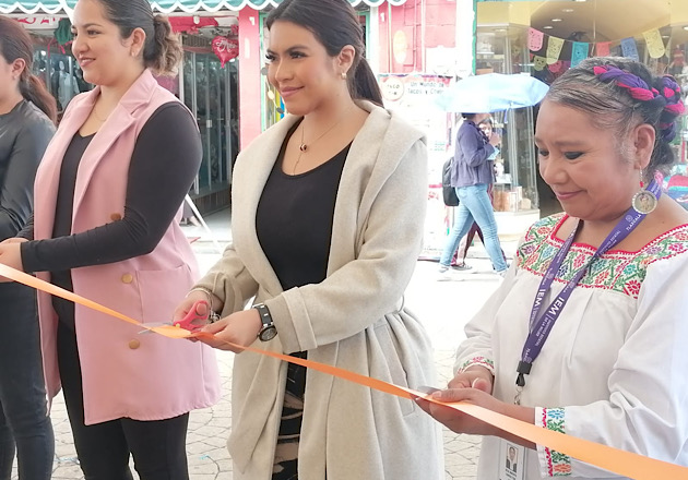 Participa Lorena Ruiz García en trabajo conjunto con el IEM