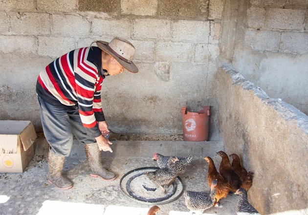 Invita Ayuntamiento de Huamantla y SIA a adquirir paquetes de especies menores a bajo costo