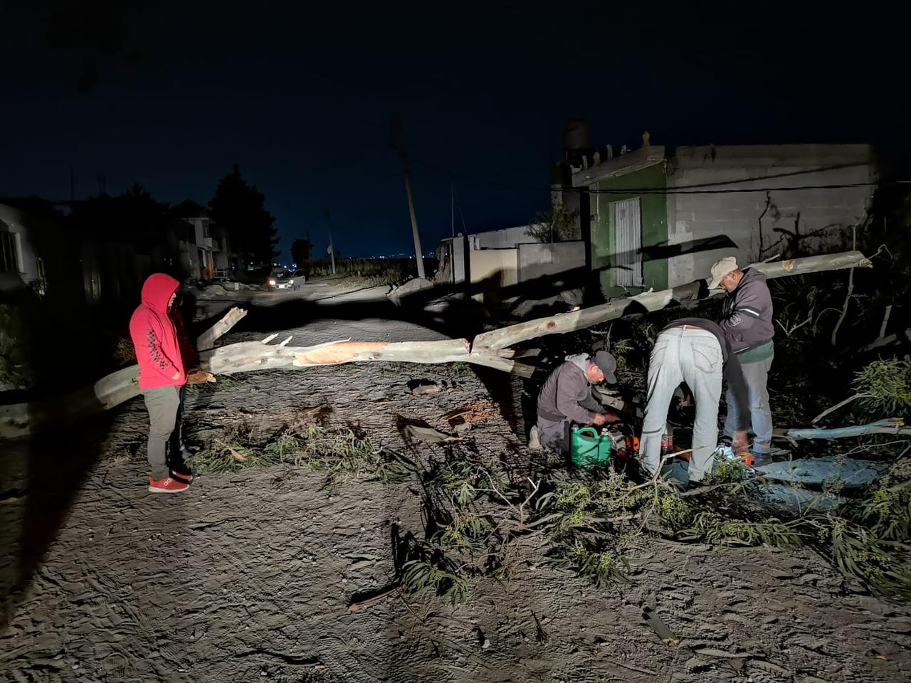 Liberan autoridades municipales camino bloqueado por un árbol en Santa Anita 
