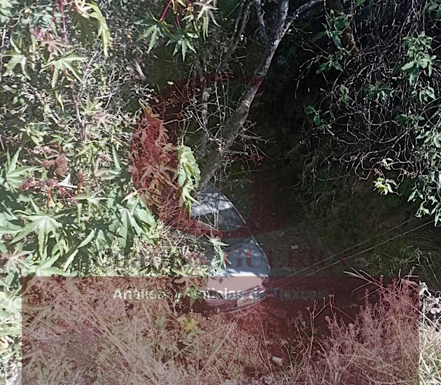 Se salvan de morir tras caer a barranco a bordo de su auto, en la Tenango-Texoloc