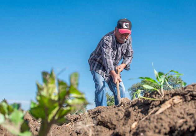 Últimos días para participar en el Censo Agropecuario 2022 en Huamantla
