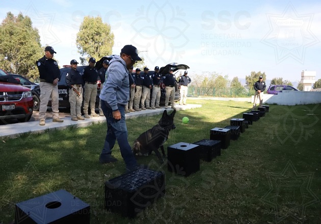 Trabaja Unidad Canina por certificación nacional