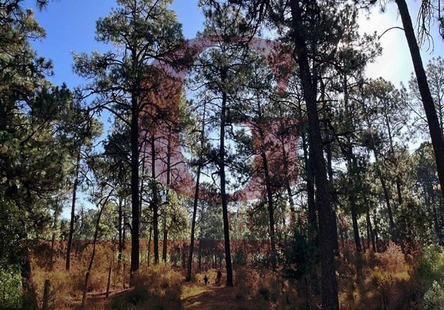 Se encontrarían ilocalizables tres personas que ascendieron a La Malinche