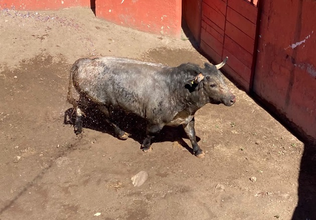 Promete corrida de rejones de Aldea Mágica un magnífico espectáculo