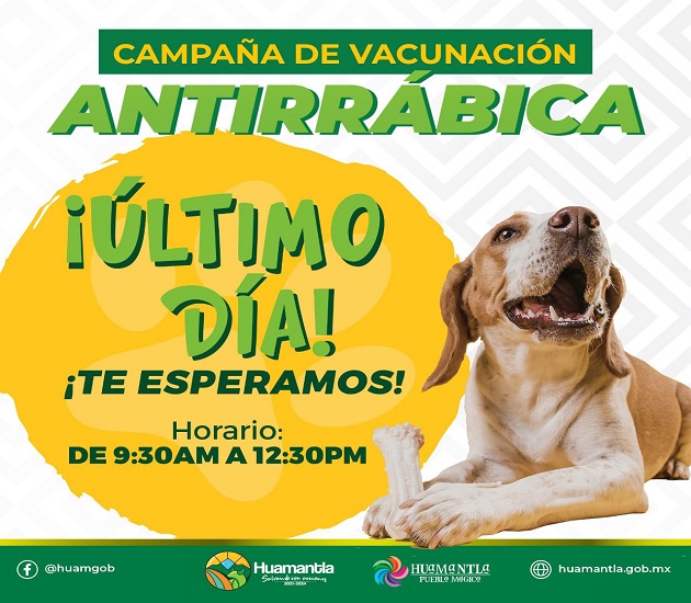 Viernes 16 de diciembre, último día para vacunar a perros y gatos contra la rabia