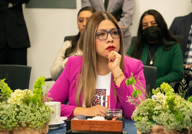 Garantizar la atención integral en materia de violencia de género, debe ser prioridad: diputada Mónica Sánchez Angulo