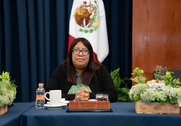 Feminicidios y narcomenudeo, temas que preocupan a la ciudadanía: diputada Brenda Cecilia Villantes Rodríguez