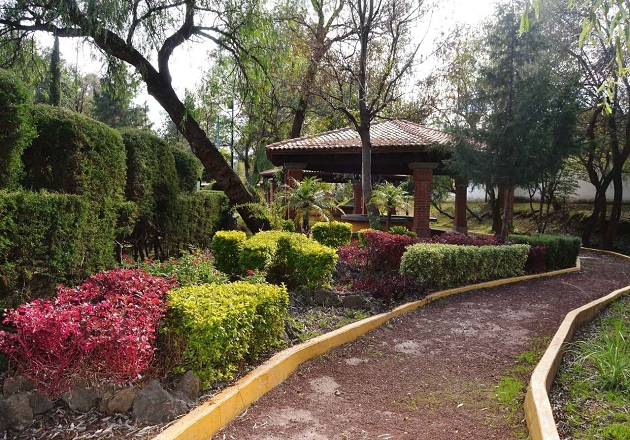 Confirma Secretaría de Medio Ambiente robo en Jardín Botánico