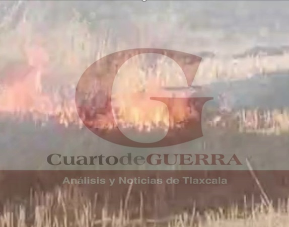 Fuerte incendio en 'El Quimicho' en Tocatlán genera movilización de cuerpos de emergencia
