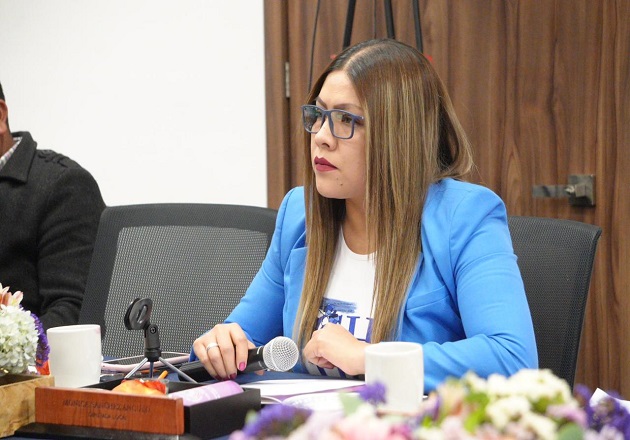 Diputada Mónica Sánchez Angulo cuestiona los alcances del programa 'Salud mental y verano saludable'