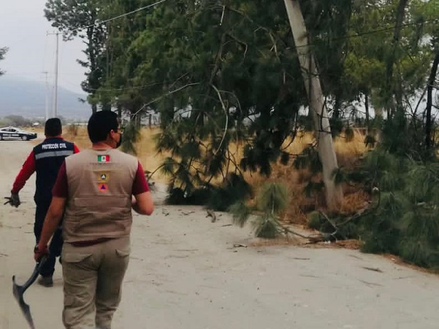Atienden oportunamente Protección Civil y Seguridad de Huamantla afectaciones por fuertes vientos