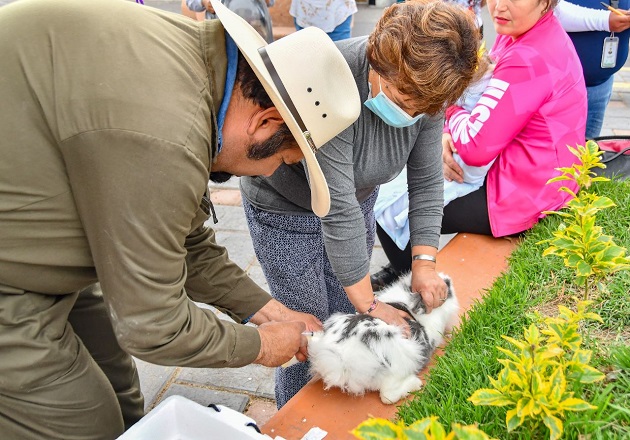 Realizan Ayuntamiento de Huamantla y SIA jornada gratuita de vacunación a conejos