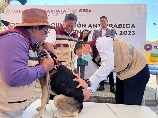 Campaña de vacunación antirrábica canina y felina, clave para proteger a la población: Rigoberto Zamudio