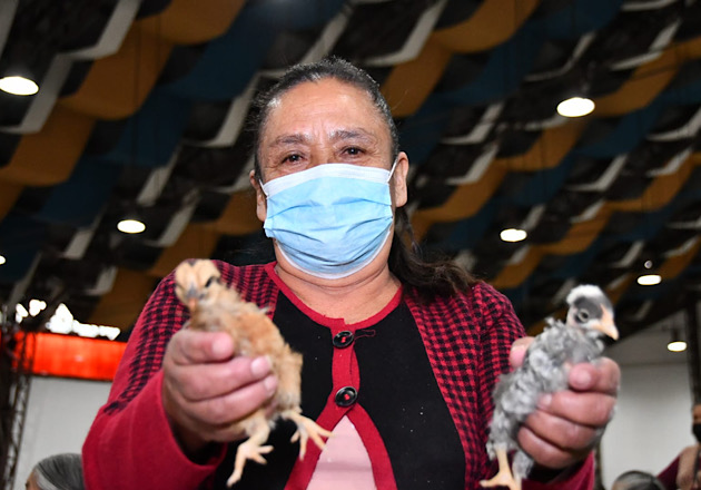 Invitan Ayuntamiento de Huamantla y SIA a adquirir paquetes de especies menores a bajo costo