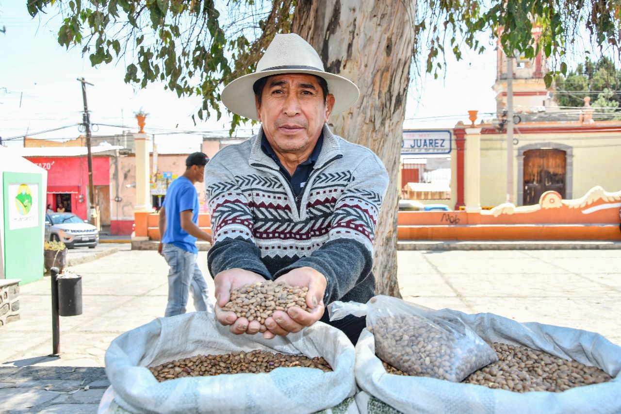 Invita Ayuntamiento de Huamantla a productores a participar en el Tianguis de Semillas