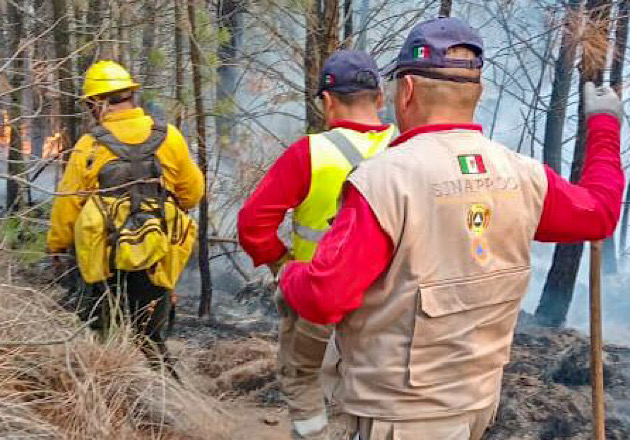 Emite la Dirección de Seguridad Pública de Huamantla recomendaciones para evitar incendios